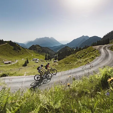 Lejlighed Elisabeth Naturnah Fieberbrunn